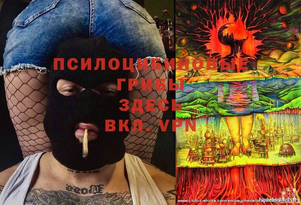 mdma Каменка
