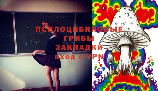 дурь Каменногорск
