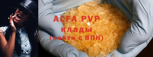 СК Новозыбков