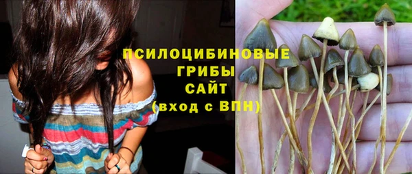 spice Майский